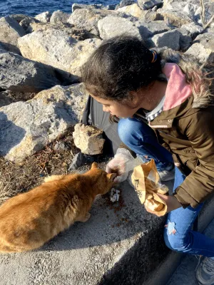 Arzular ve Hatıralar